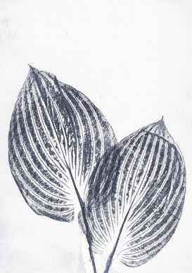 Ink and Grey Hosta Print A5 Postcard