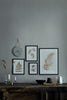 Gold Gingko Limited Edition Print - 30cm x 40cm