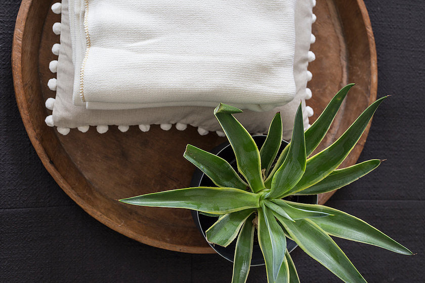 Click for collection page